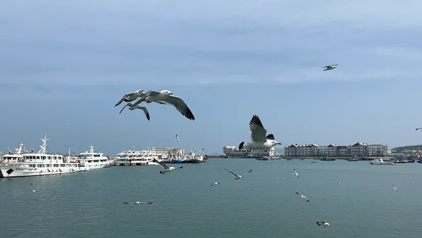 蓬莱之旅，科瑞耐材集团夏日团建活动游记